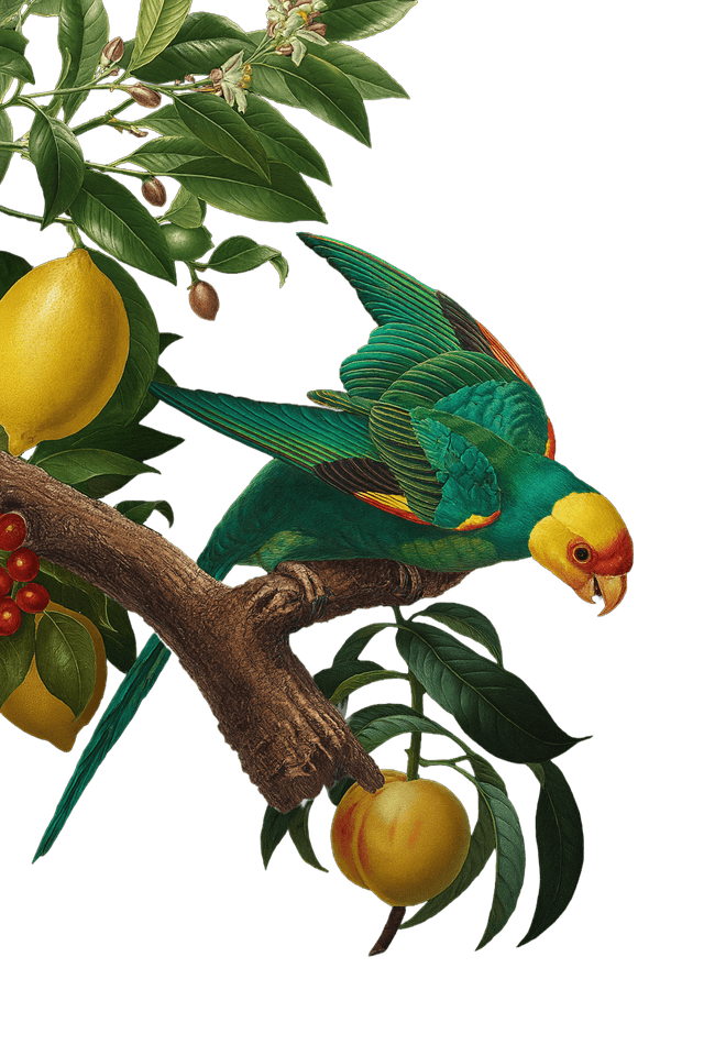 Decorative bird with fruits